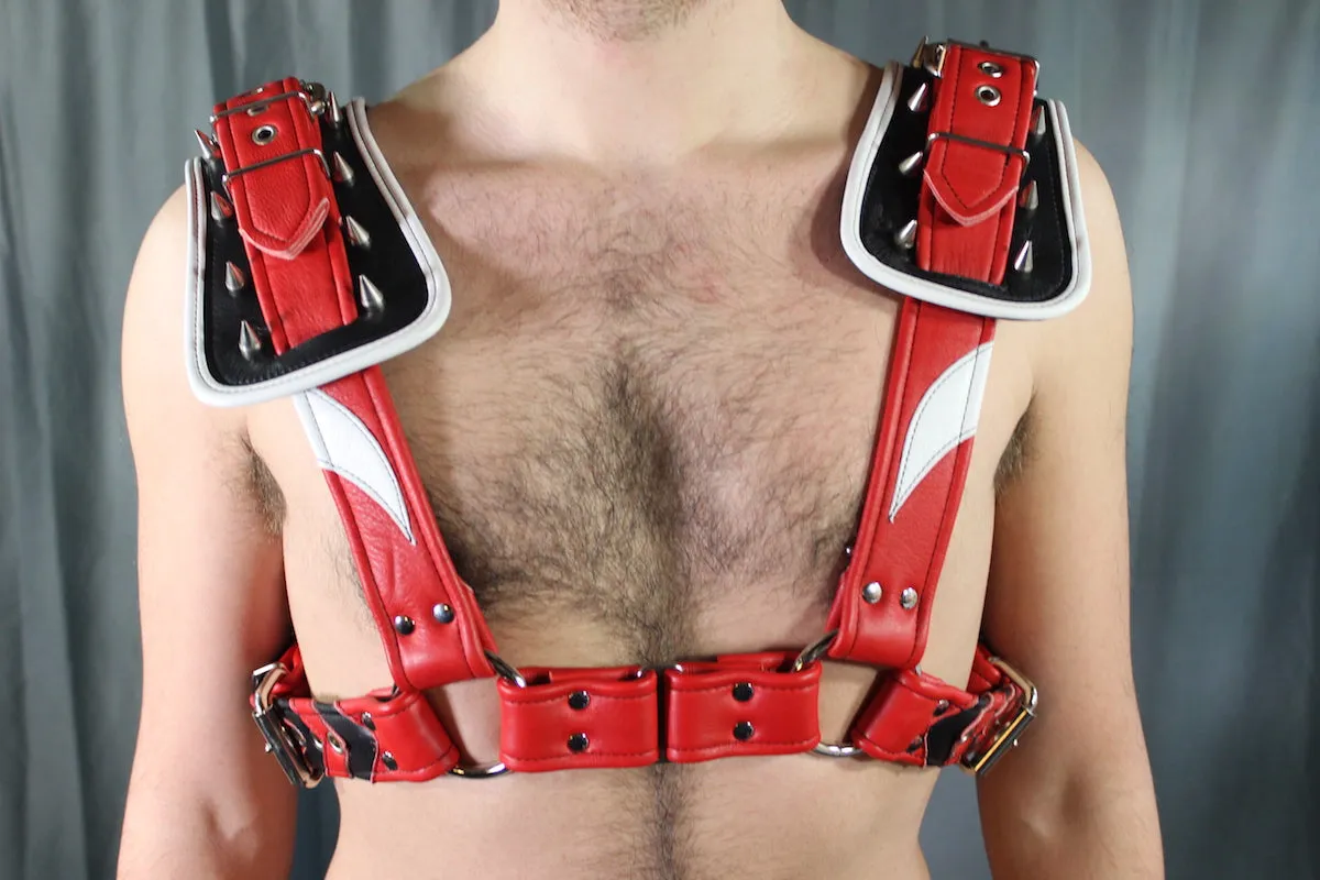 Alpha Pup Gunner's H-Harness