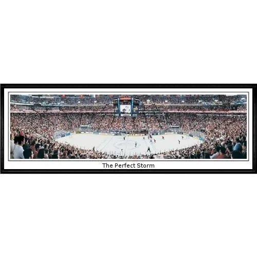 Carolina Hurricanes The Perfect Storm"  - 13.5"x39" Standard Black Frame"