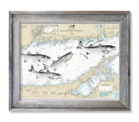 Long Island Sound with Striped Bass School