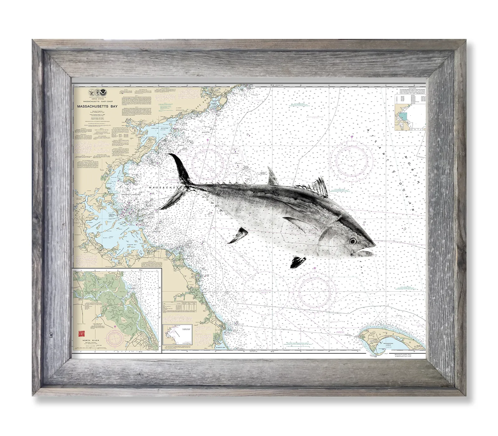 Massachusetts Bay with Bluefin Tuna