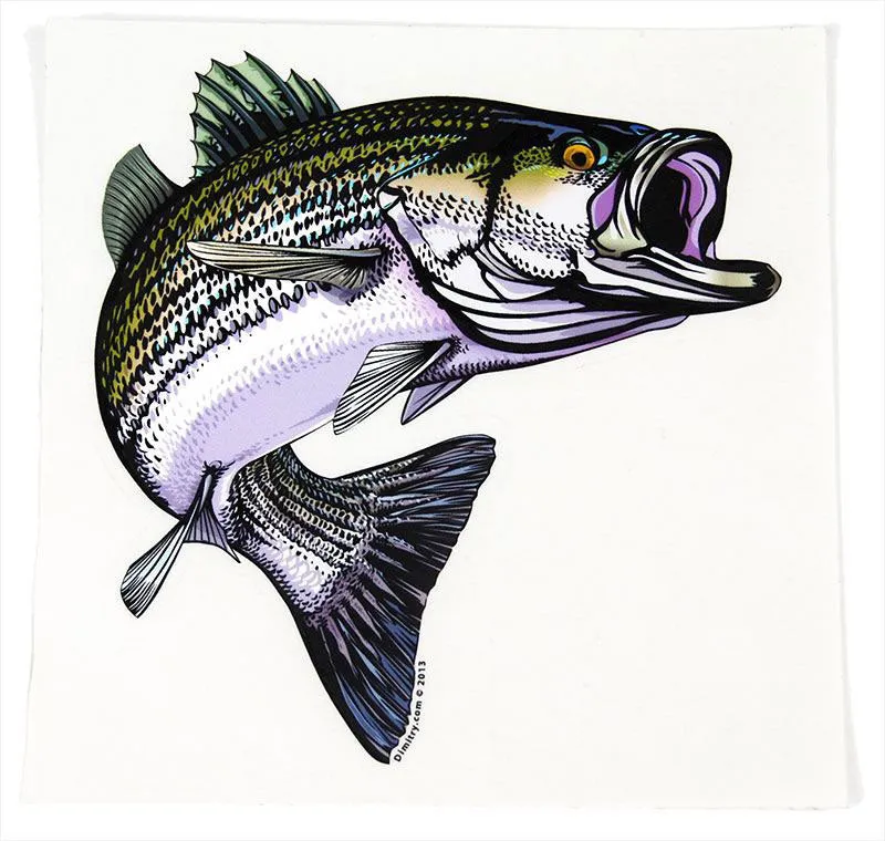 Striper Sticker